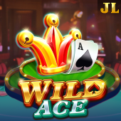 Wild Ace Slot at Hann